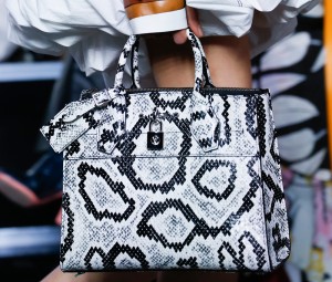 Louis-Vuitton-Spring-2016-Bags-16